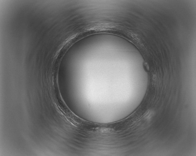 X0000059040539200510070827