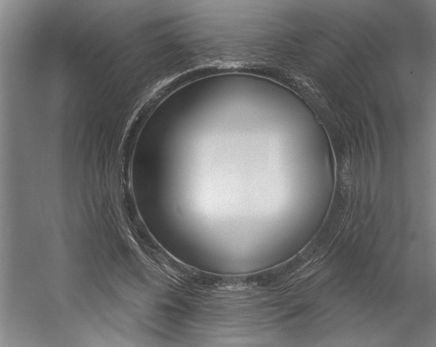X0000059040540200510070827