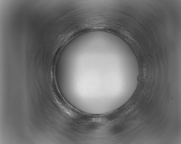 X0000059040541200510070827