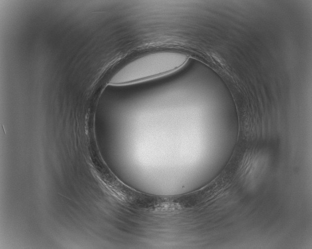 X0000059040543200510070827