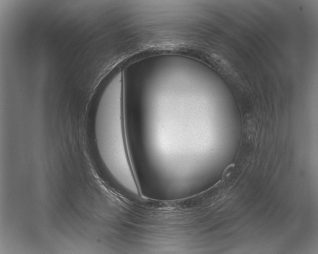 X0000059040544200510070827