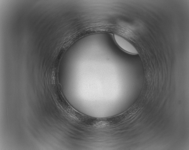 X0000059040551200510070828