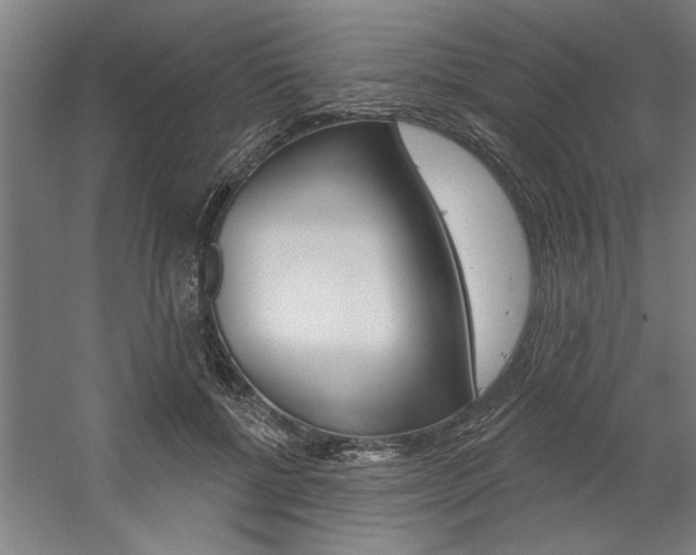 X0000059040552200510070828