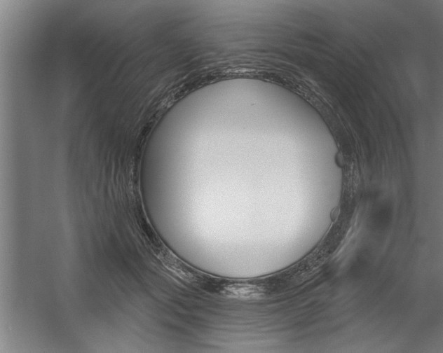 X0000059040557200510070828