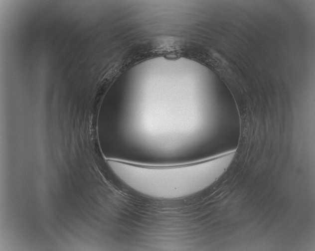 X0000059040560200510070828
