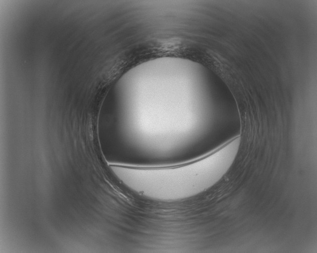 X0000059040562200510070828