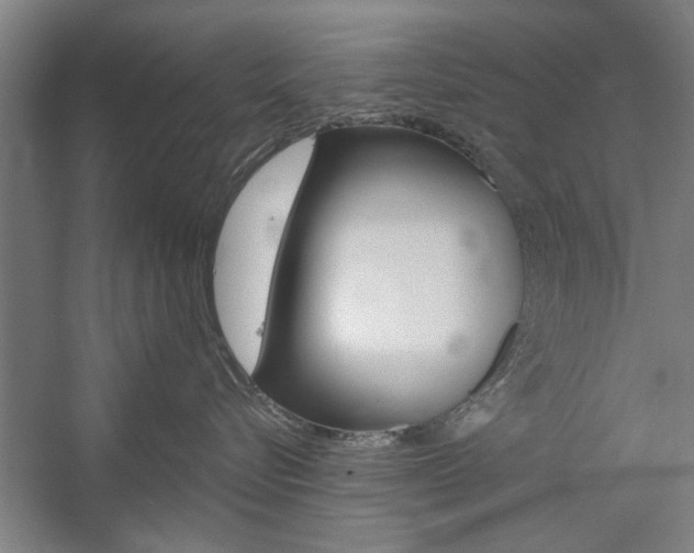 X0000059040576200510070828