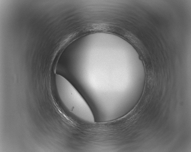 X0000059040578200510070827