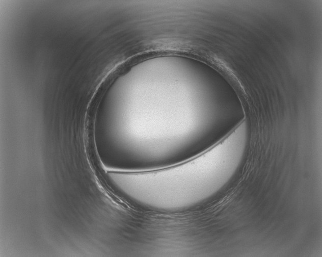 X0000059040580200510070827