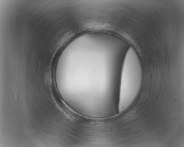 X0000059040582200510070827