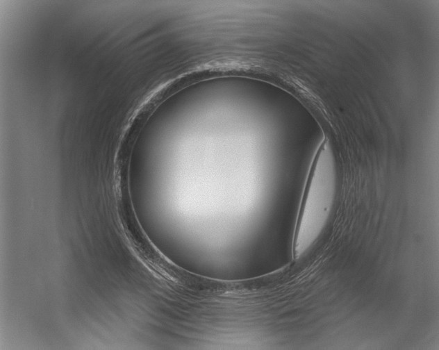 X0000059040584200510070827