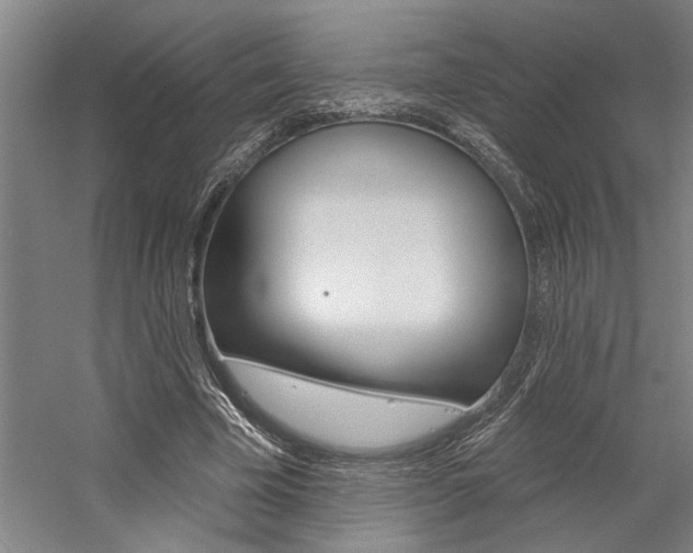 X0000059040585200510070827