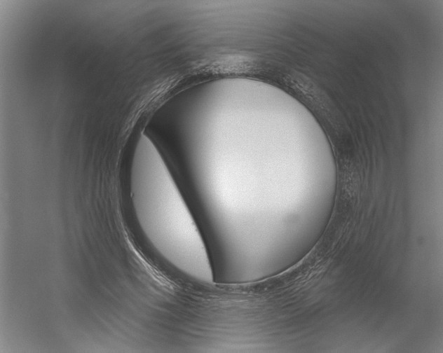 X0000059040586200510070827