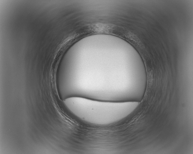 X0000059040587200510070827