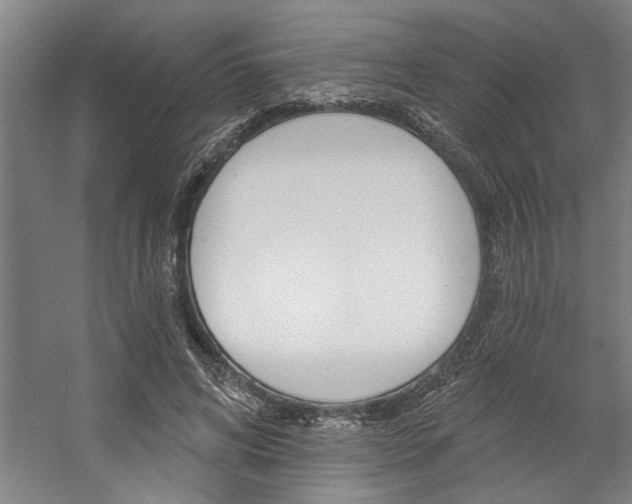 X0000059040592200510070827