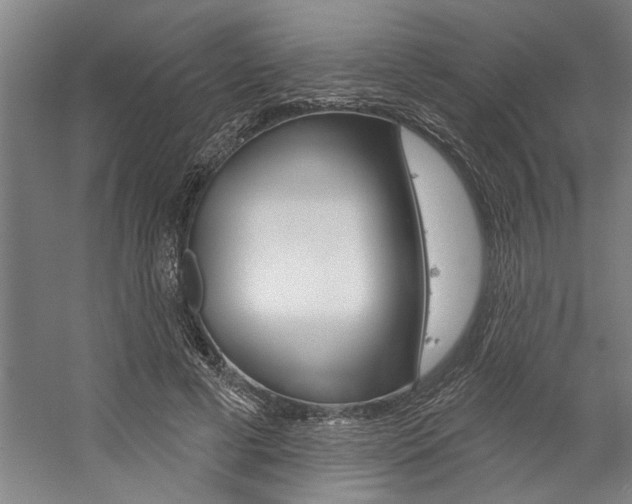 X0000059040593200510070827