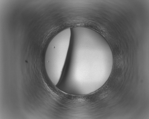 X0000059040594200510070827