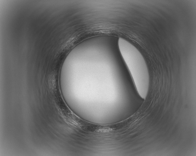 X0000059040595200510070827