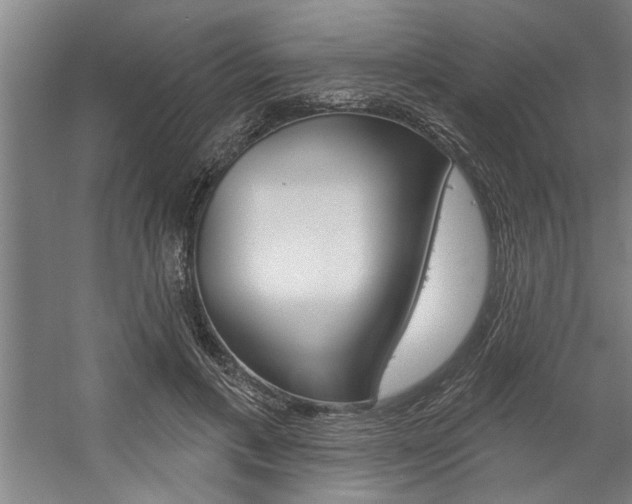 X0000059040597200510070827