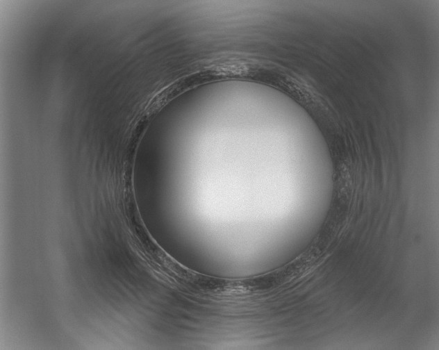 X0000059040600200510070827