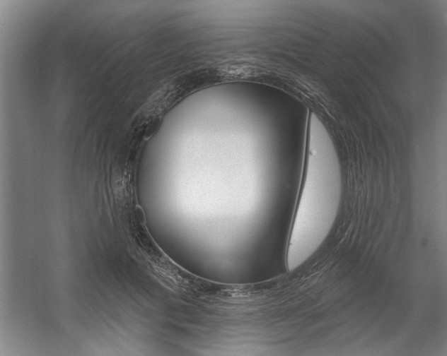 X0000059040601200510070827