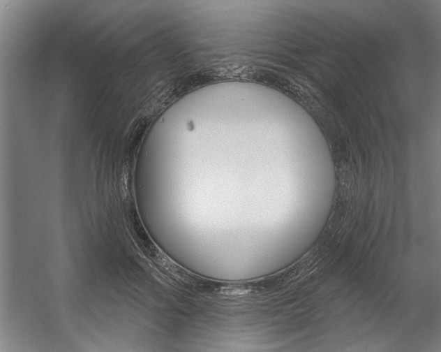 X0000059040602200510070827