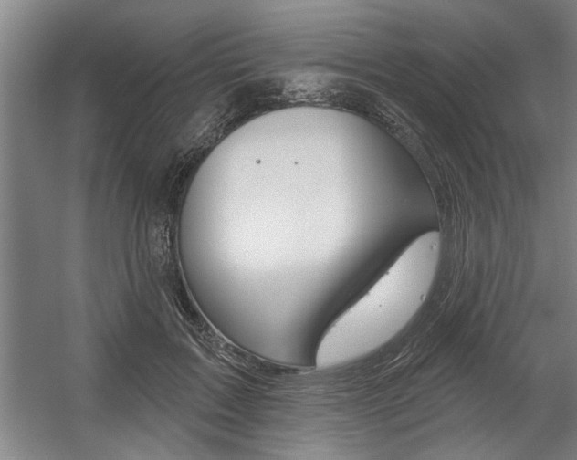 X0000059040603200510070827