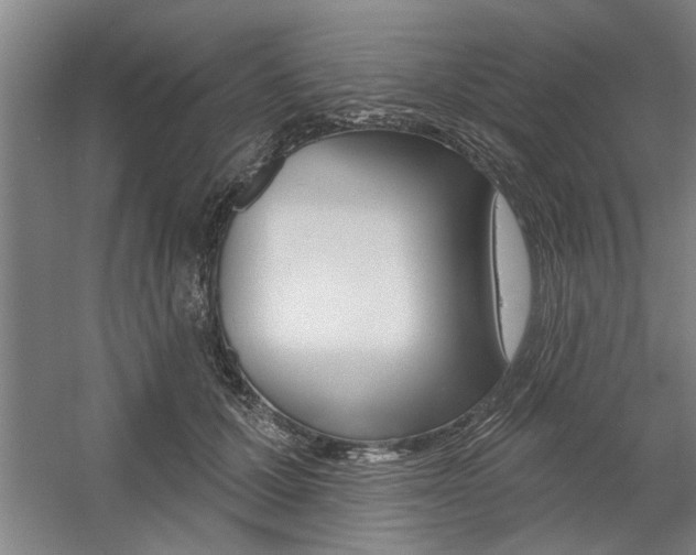X0000059040607200510070827
