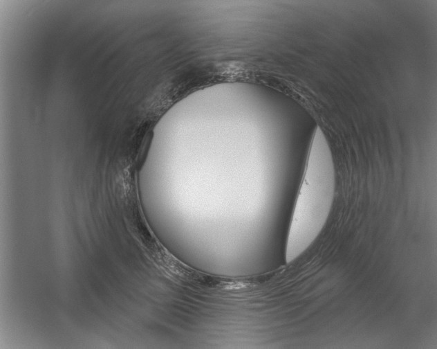 X0000059040611200510070827