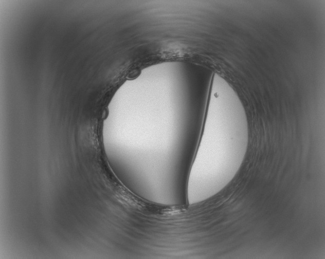 X0000059040616200510070827