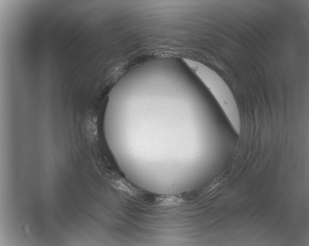 X0000059040621200510070826