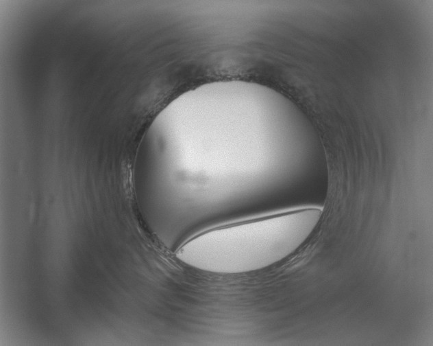 X0000059040624200510070826
