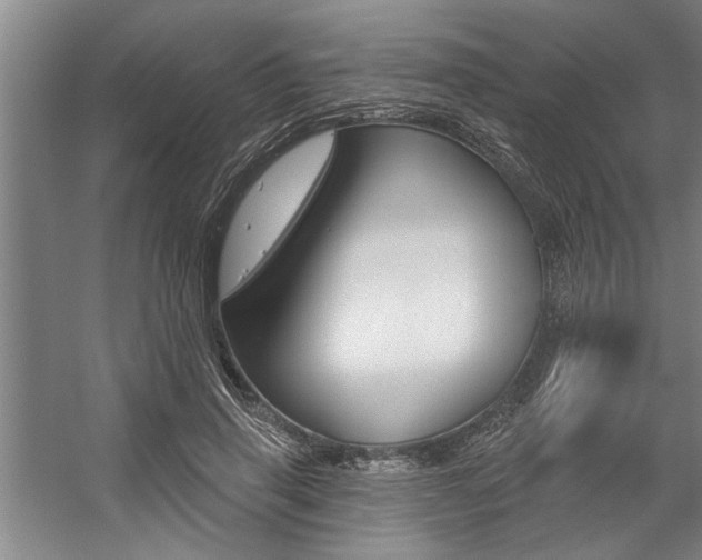 X0000059040645200510070826
