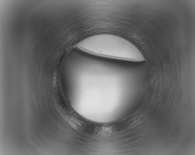 X0000059040647200510070826