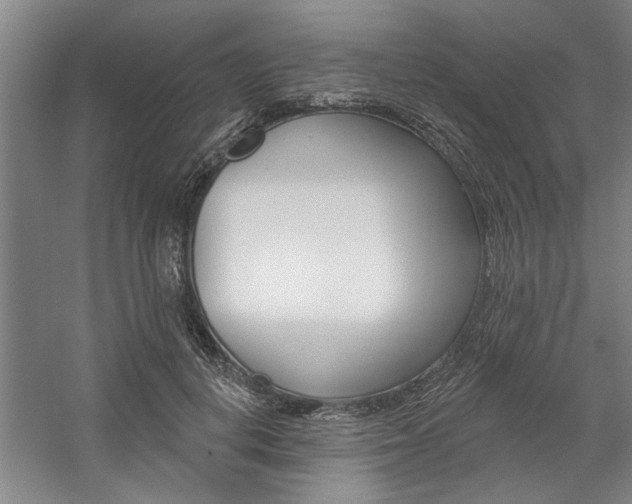 X0000059040648200510070826