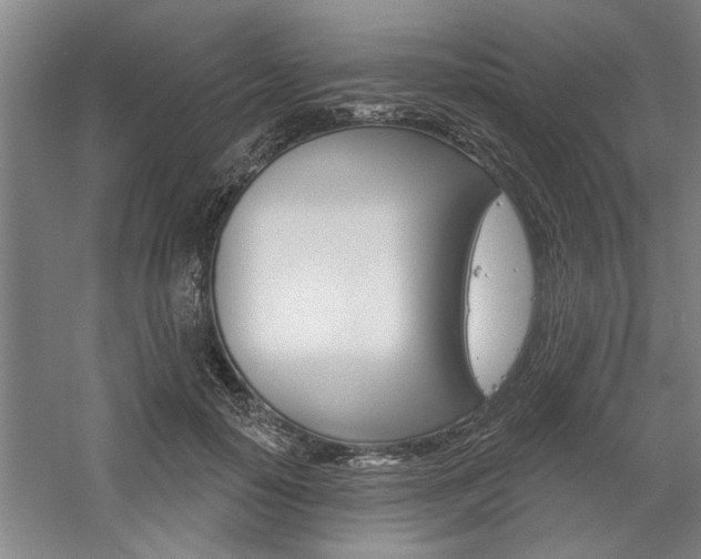 X0000059040650200510070826