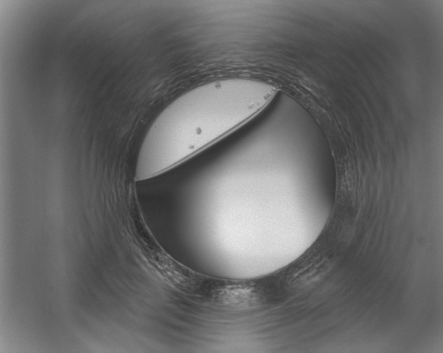 X0000059040651200510070826