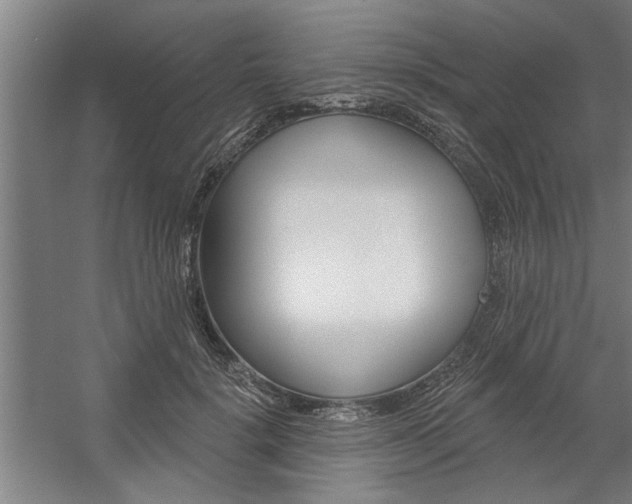 X0000059040652200510070826