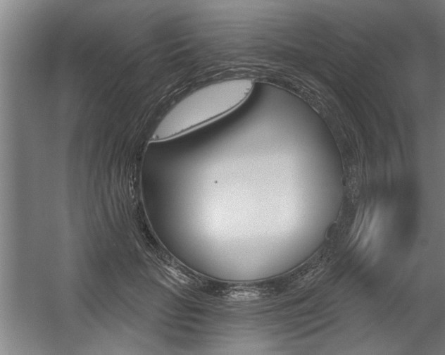 X0000059040653200510070826