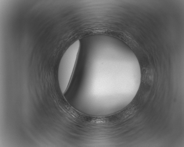 X0000059040655200510070826