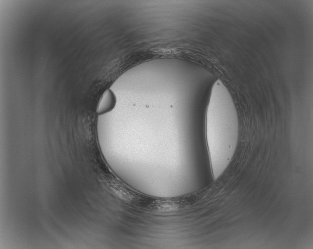 X0000059040658200510070826
