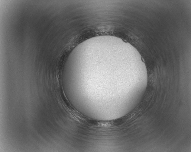 X0000059040662200510070826