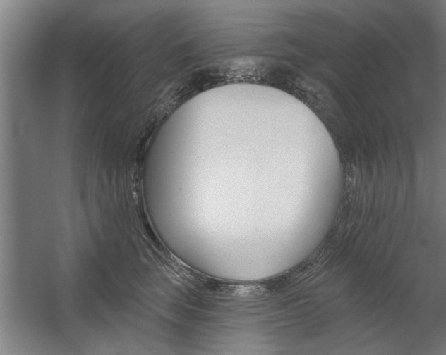 X0000059040663200510070826
