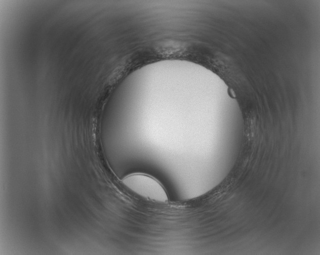 X0000059040664200510070826