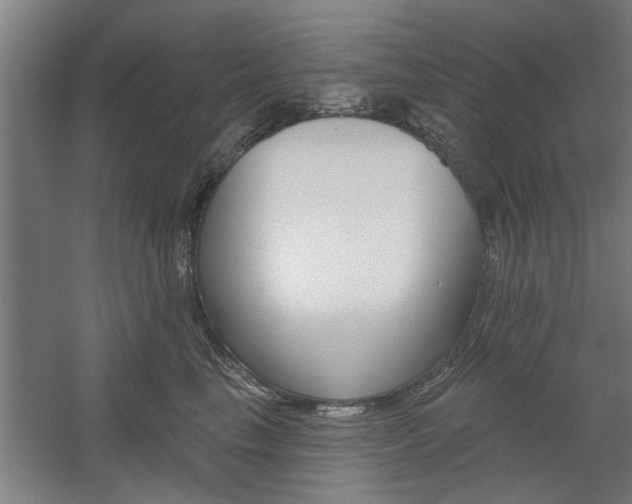 X0000059040665200510070826