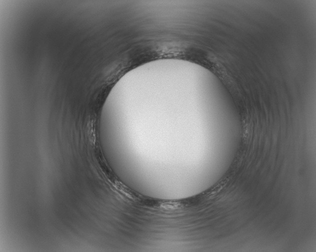 X0000059040666200510070826