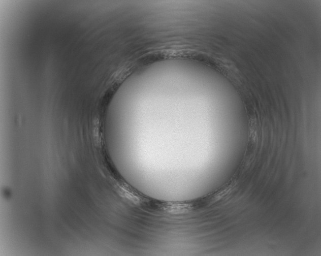 X0000059040670200510070826