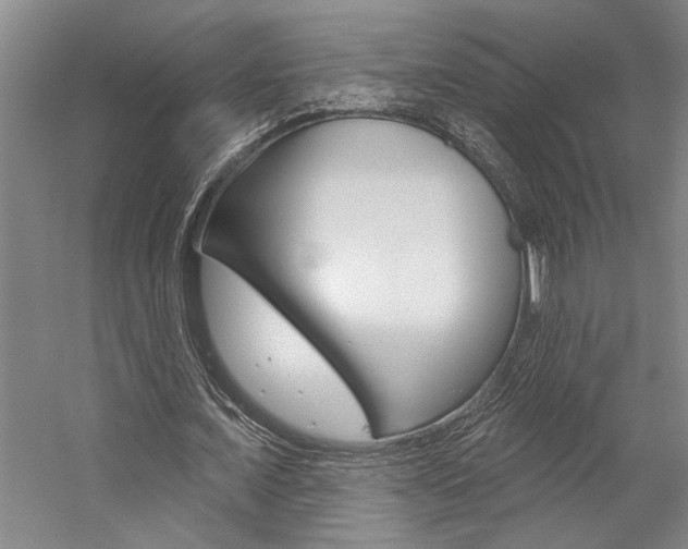 X0000059040675200510070826