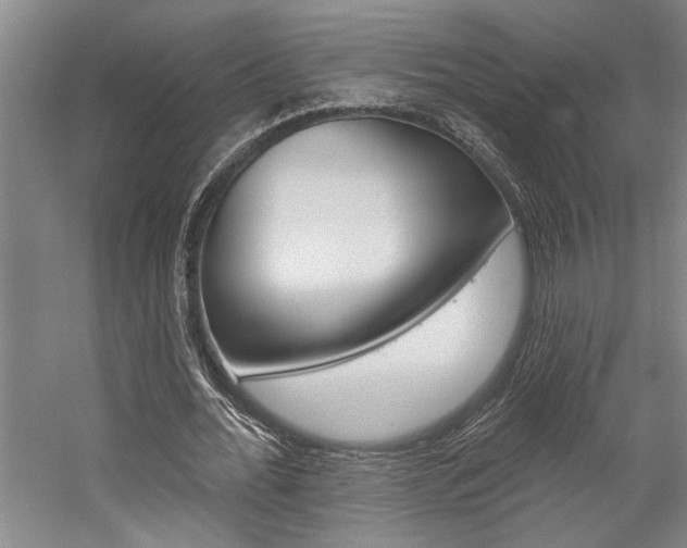 X0000059040676200510070826