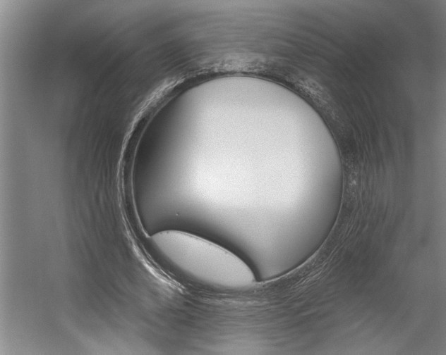 X0000059040678200510070825